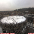 15_25-nest.jpg