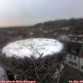 16_10-nest.jpg