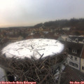 16_15-nest.jpg