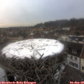 16_20-nest.jpg