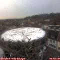 16_25-nest.jpg