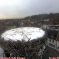 16_30-nest.jpg