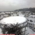 08_40-nest.jpg