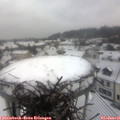 08_55-nest.jpg