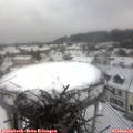 09_00-nest.jpg