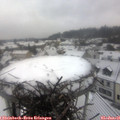 09_20-nest.jpg