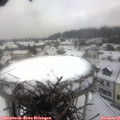 09_25-nest.jpg