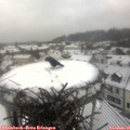 09_40-nest.jpg