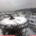 09_45-nest.jpg