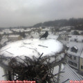 09_50-nest.jpg
