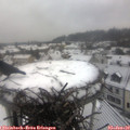10_00-nest.jpg