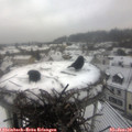 10_10-nest.jpg