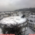 10_15-nest.jpg