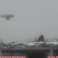 10_25-mast.jpg