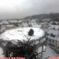10_25-nest.jpg