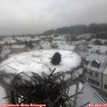 10_30-nest.jpg