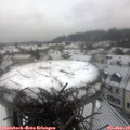 10_35-nest.jpg