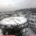 11_00-nest.jpg