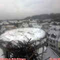 11_05-nest.jpg