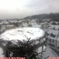 11_15-nest.jpg