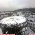 11_20-nest.jpg