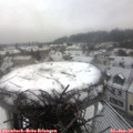 11_35-nest.jpg