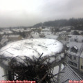 11_40-nest.jpg