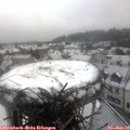 11_45-nest.jpg