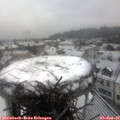 11_55-nest.jpg
