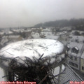 12_00-nest.jpg