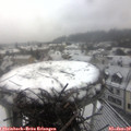 12_05-nest.jpg