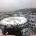 12_15-nest.jpg
