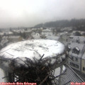 12_20-nest.jpg