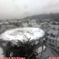 12_25-nest.jpg