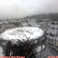 12_35-nest.jpg