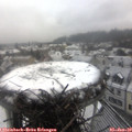 12_45-nest.jpg