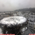 12_55-nest.jpg