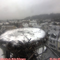 13_00-nest.jpg