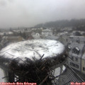 13_10-nest.jpg