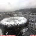 13_20-nest.jpg