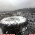 13_25-nest.jpg