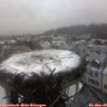 13_30-nest.jpg