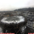 15_05-nest.jpg