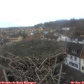 08_30-nest.jpg