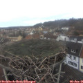 08_35-nest.jpg