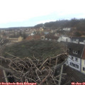 08_40-nest.jpg