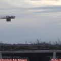 08_45-mast.jpg