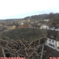 08_45-nest.jpg