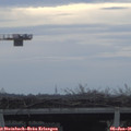08_50-mast.jpg
