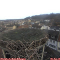 09_00-nest.jpg